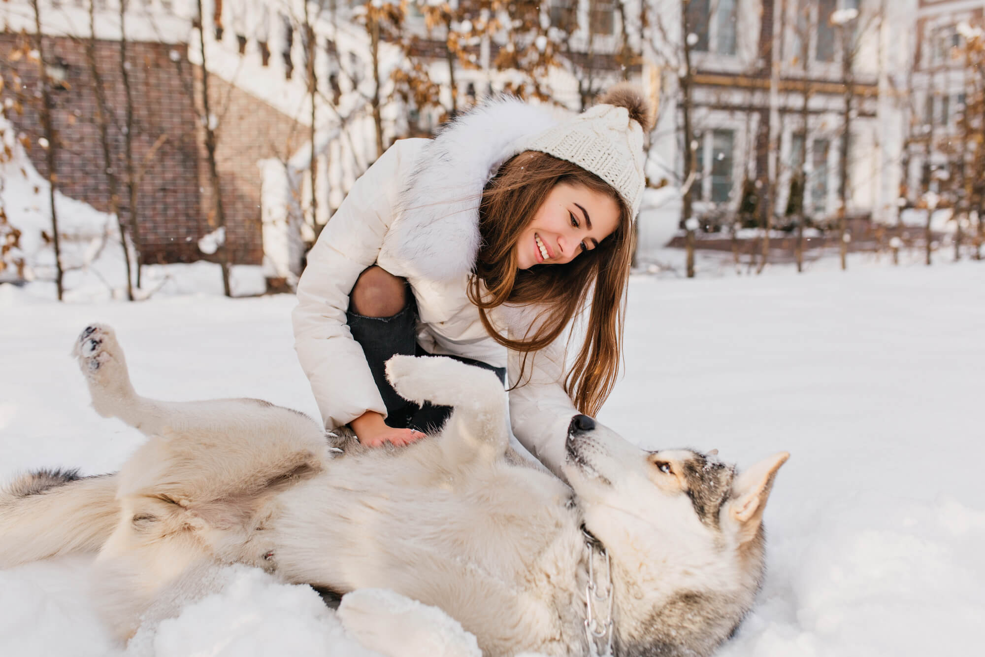 jeune femme jouant avec un chien dans la neige