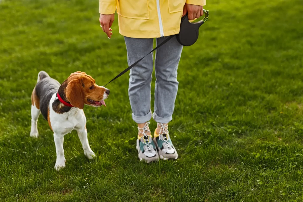 une fille en imperméable jaune avec un chien en laisse lui apprenant à s'arrêter à côté d'elle