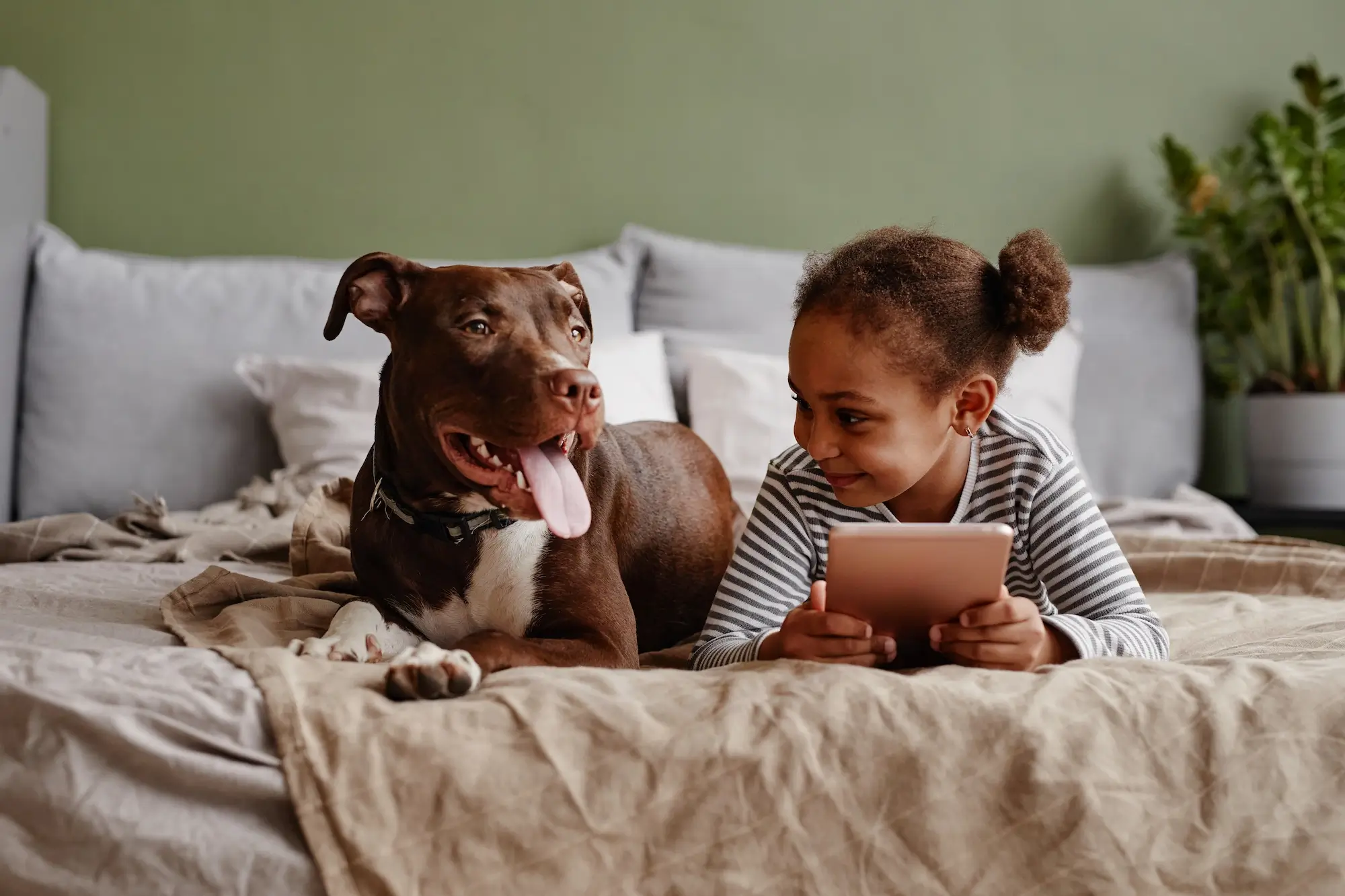 une petite fille allongée sur un lit avec son chien et tenant une tablette