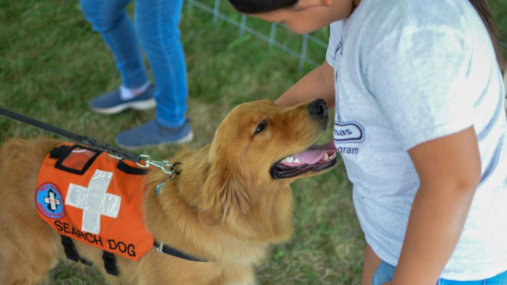 cours de recherche olfactive pour chienjpg